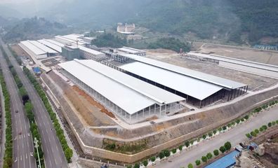 道真小蘑菇 科技賦能食用菌研發，鮮香直達二十余省市民餐桌